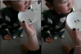 家長(zhǎng)給幼童喂食活蝌蚪視頻引關(guān)注 事后熊家長(zhǎng)竟稱可以強(qiáng)身健體