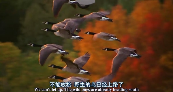 http://www.119127.cn/pics/default/download/04e3f104845a2163796ed64c3f70522f.jpg