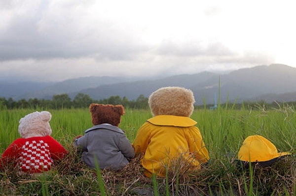 http://www.119127.cn/pics/default/download/06681b34840485cdc1a1392eb0a86d68.jpg