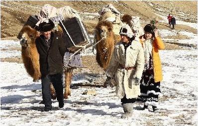 http://www.119127.cn/pics/default/download/0672af8480d65304d967e818d2f65b37.jpg
