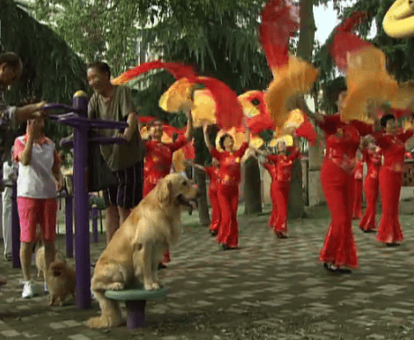 http://www.119127.cn/pics/default/download/079643ac984c965e6748d1ae262f472a.jpg