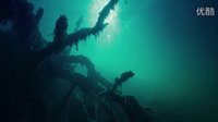 《食人魚3DD》高清預(yù)告 Piranha 3DD-HDtrailer