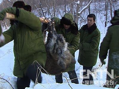 http://www.119127.cn/pics/default/download/0931f2ab38b0338215d2237cbc07569f.jpg