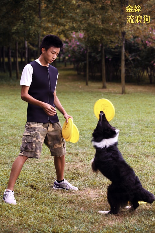 http://www.119127.cn/pics/default/download/09e419eb68929eede9117a2324c0783c.jpg
