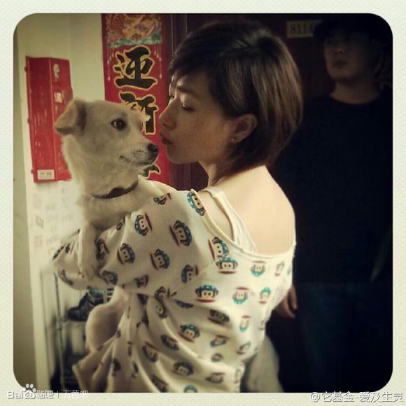 http://www.119127.cn/pics/default/download/0a5ba686d59b22eb4297c2f2d6aa3bdc.jpg