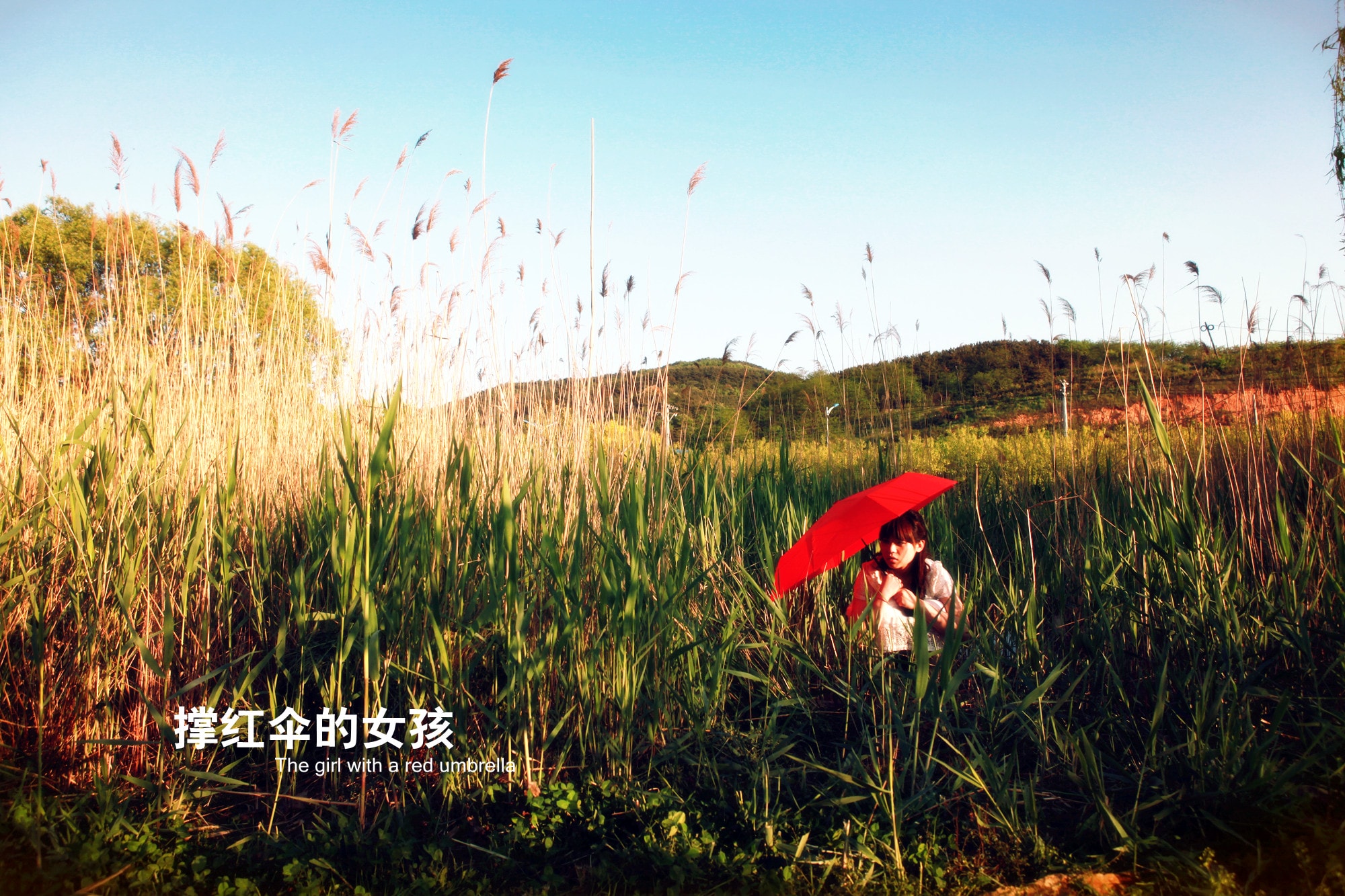 http://www.119127.cn/pics/default/download/0aacc8967cbe49388a4bd7dbcc05ad11.jpg