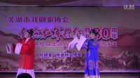 越劇聯(lián)唱【天上掉下個(gè)林妹妹】【我家有個(gè)小九妹】【手心手背都是肉】蕪湖市戲劇家協(xié)會