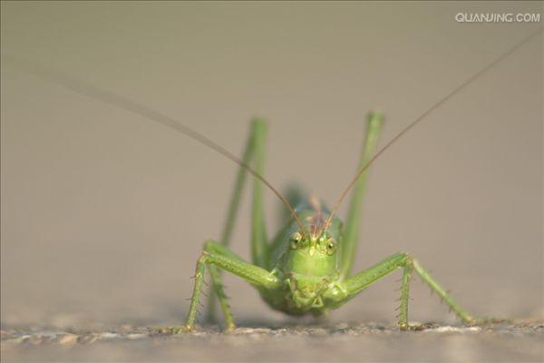 http://www.119127.cn/pics/default/download/0c7c32b5bd12e0cb915d7f0e12c2faf0.jpg