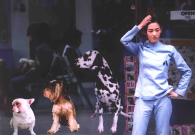 http://www.119127.cn/pics/default/download/0cf491da54fe0b62c87738040b5b03be.jpg