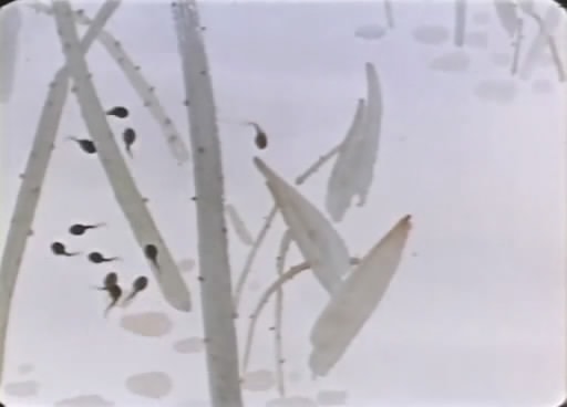 http://www.119127.cn/pics/default/download/0d4ed73bac66ec1eed9bfff62b5e37fd.jpg