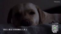 制片人帶著他的拉布拉多，告訴你，狗狗何時對你墜入愛河？