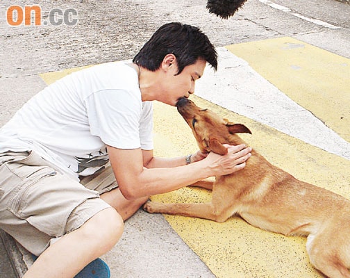 http://www.119127.cn/pics/default/download/0e29de4d10e9d5e083ef2006a7fd3f47.jpg