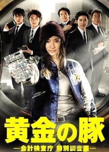 黃金豬