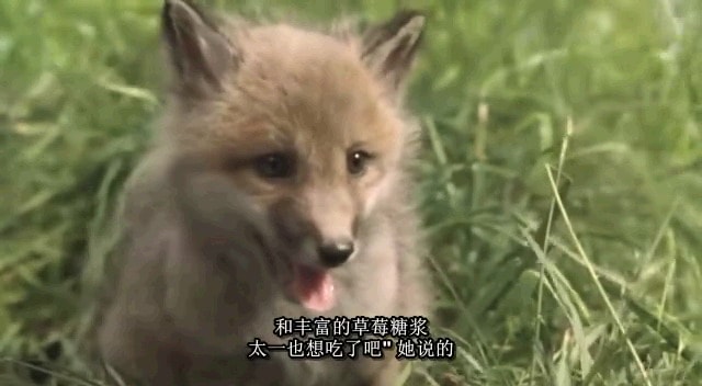 http://www.119127.cn/pics/default/download/0e8170b982f8281be97330911507a269.jpg