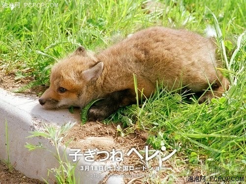 http://www.119127.cn/pics/default/download/0ed07c8e883d4703c13e6a42903b1710.jpg