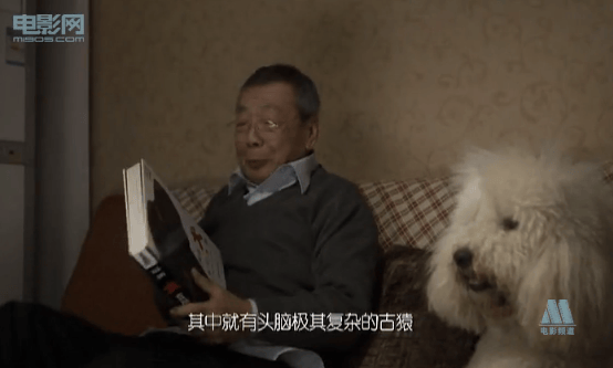 別跟狗較勁 精彩圖冊(cè)