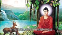 六石說書之西游局中局：4、大鬧天宮背后的驚天秘密