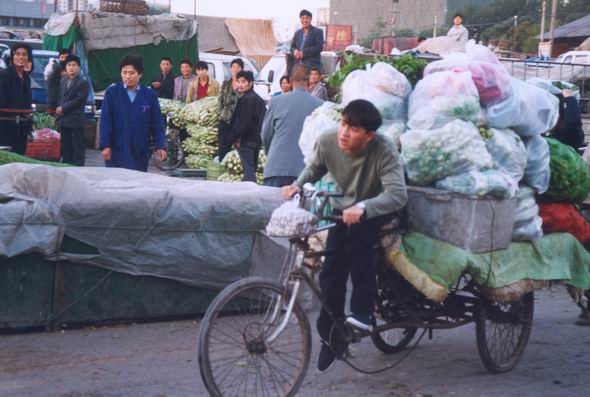 http://www.119127.cn/pics/default/download/125e83e91fa56d76e645e7d529e7bc38.jpg