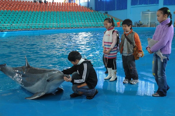 http://www.119127.cn/pics/default/download/136f2cc195c450ccffa8bf2ec66d3ae6.jpg