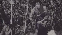 趙一曼-抗日游擊區(qū)音樂(lè)