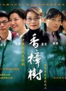 香樟樹