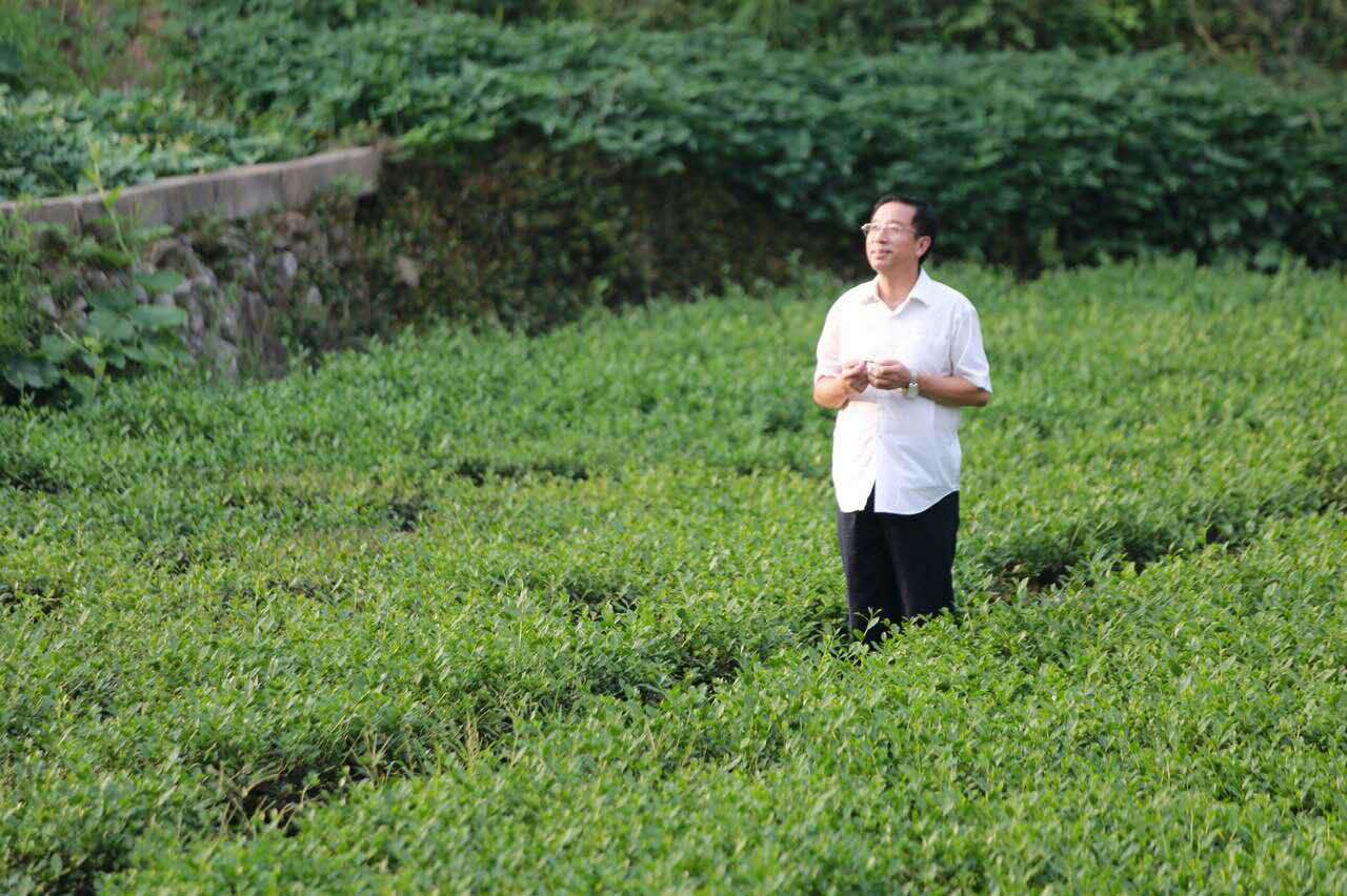 http://www.119127.cn/pics/default/download/1529078aa7557f3f5ffd3a3e0f8301ea.jpg