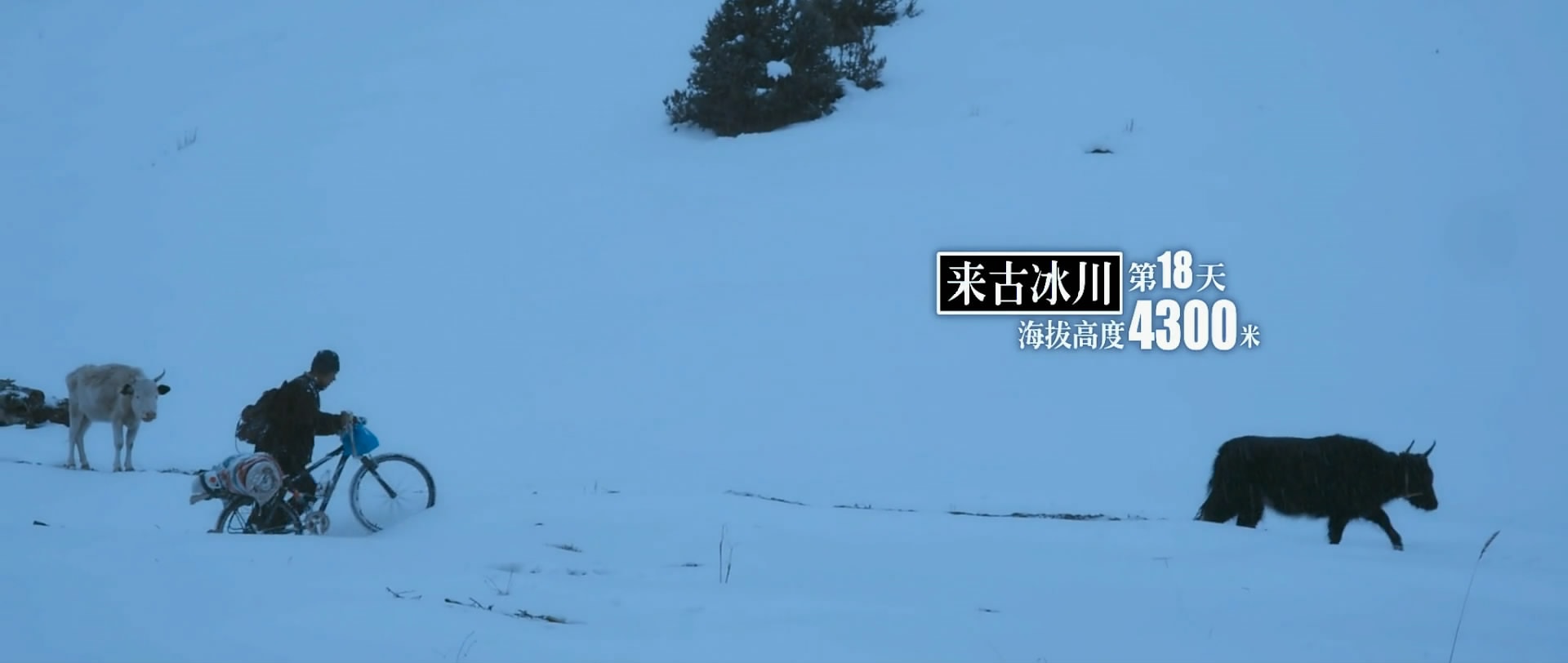 http://www.119127.cn/pics/default/download/1541974da5eec554bcbf7a3a2085042f.jpg