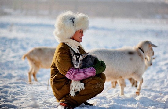 http://www.119127.cn/pics/default/download/16b1244d1620bb80988e75d277d60d30.jpg