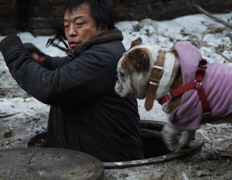 http://www.119127.cn/pics/default/download/174f84bf92c922605a4db6d5ec1cc227.jpg