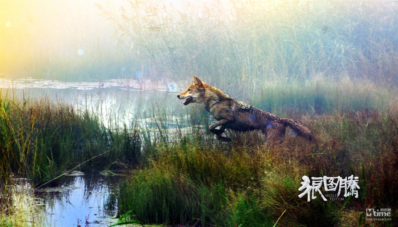 http://www.119127.cn/pics/default/download/179c0dc88db63cdb4e8d5f3d0a0489d1.jpg