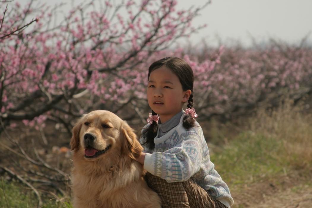 http://www.119127.cn/pics/default/download/179e54e8d41fb7d41db8126cd4fc7ce9.jpg