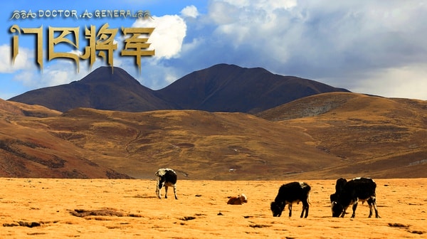 http://www.119127.cn/pics/default/download/1825cc36b616d6690c18a842e2b3ab96.jpg