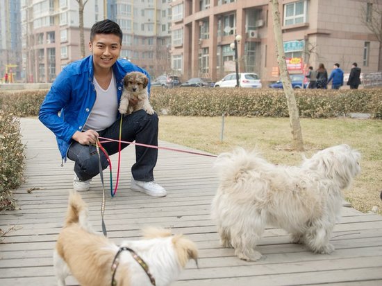 http://www.119127.cn/pics/default/download/18b407b449e49539f4e03266006cb70b.jpg