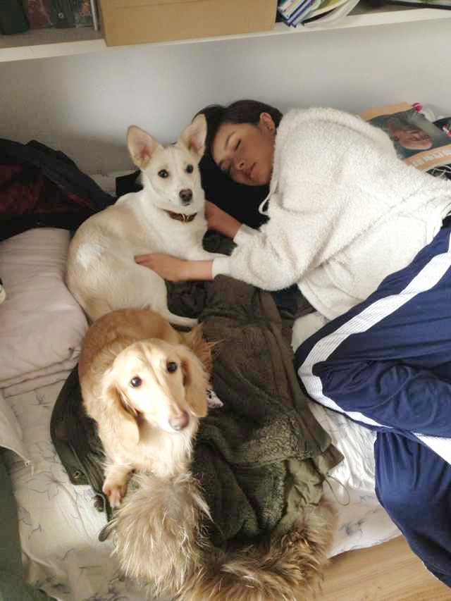 http://www.119127.cn/pics/default/download/190d5d4895d8447bcd4276cb5327ce08.jpg