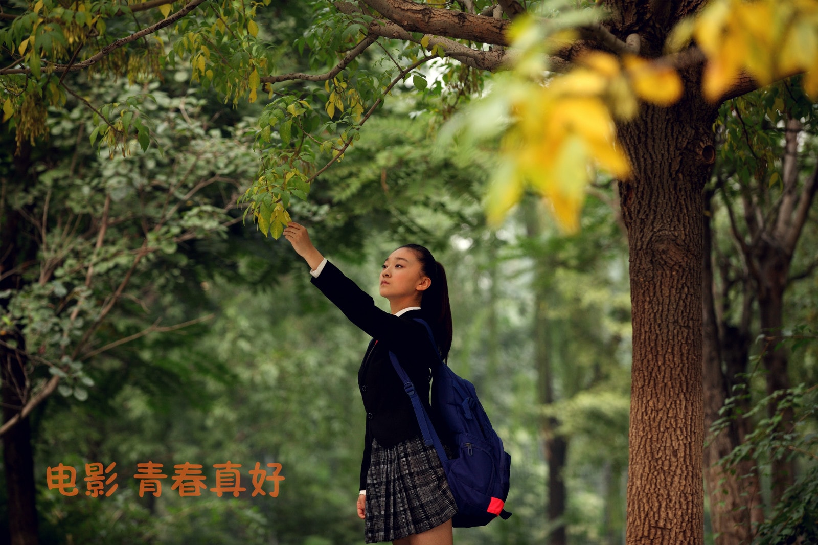 http://www.119127.cn/pics/default/download/191b72c07e1a1da43f11f94e7eed35f6.jpg