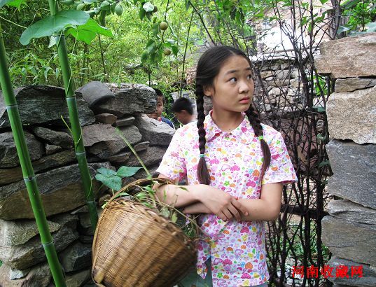 http://www.119127.cn/pics/default/download/19795b736a02a00977e95baa0e521518.jpg