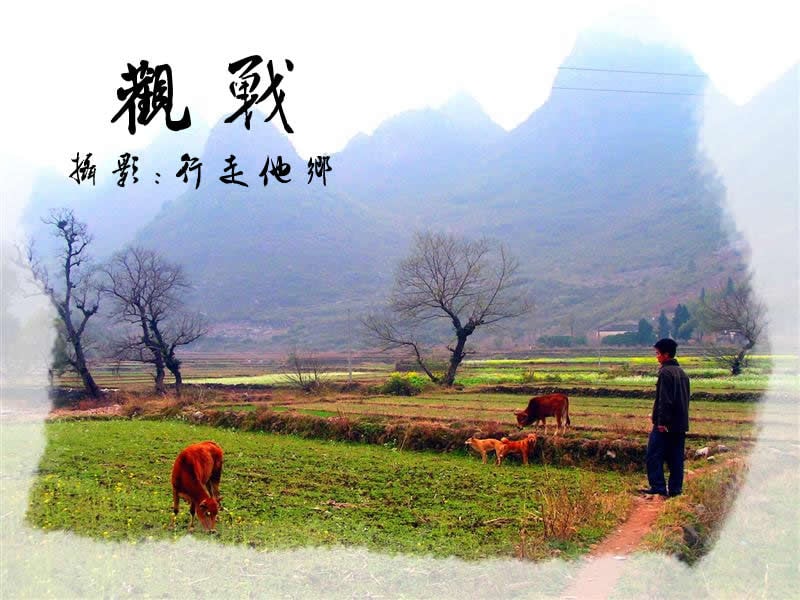 http://www.119127.cn/pics/default/download/1981bc5498cac93e27fec6a408d04859.jpg