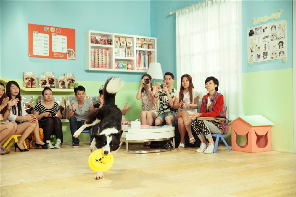 http://www.119127.cn/pics/default/download/1a5235e1610110f70fc8398897b8c56e.jpg