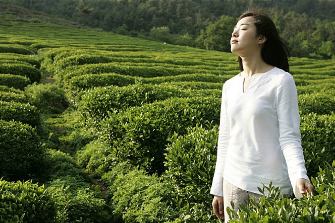http://www.119127.cn/pics/default/download/1a9ca90b685c070e49f304582b918b9c.jpg