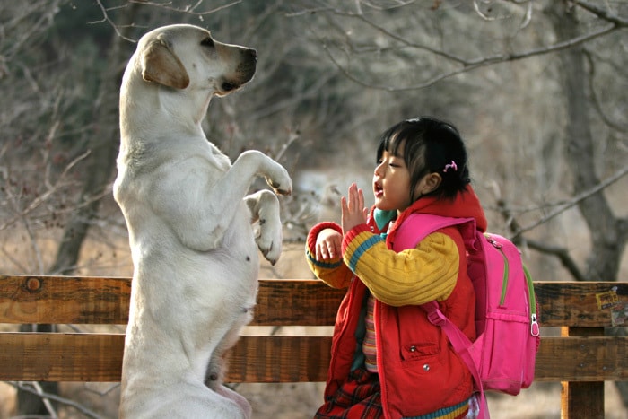 http://www.119127.cn/pics/default/download/1b6a8c7397e2a80cdacbf8682403db54.jpg
