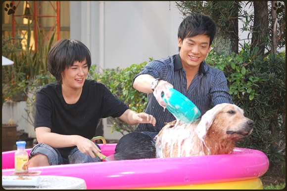 http://www.119127.cn/pics/default/download/1c2ed7a7e20ba0c8b5b7b0e4bfe3c9fd.jpg