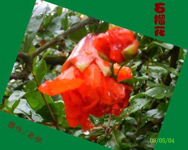 http://www.119127.cn/pics/default/download/1c8e63c900a66fc63ceebff399e4f81f.jpg