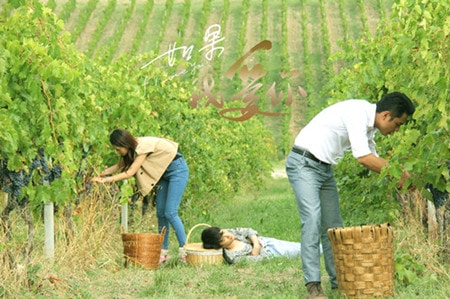 http://www.119127.cn/pics/default/download/1cfa780d8004b218173e44af8836a989.jpg