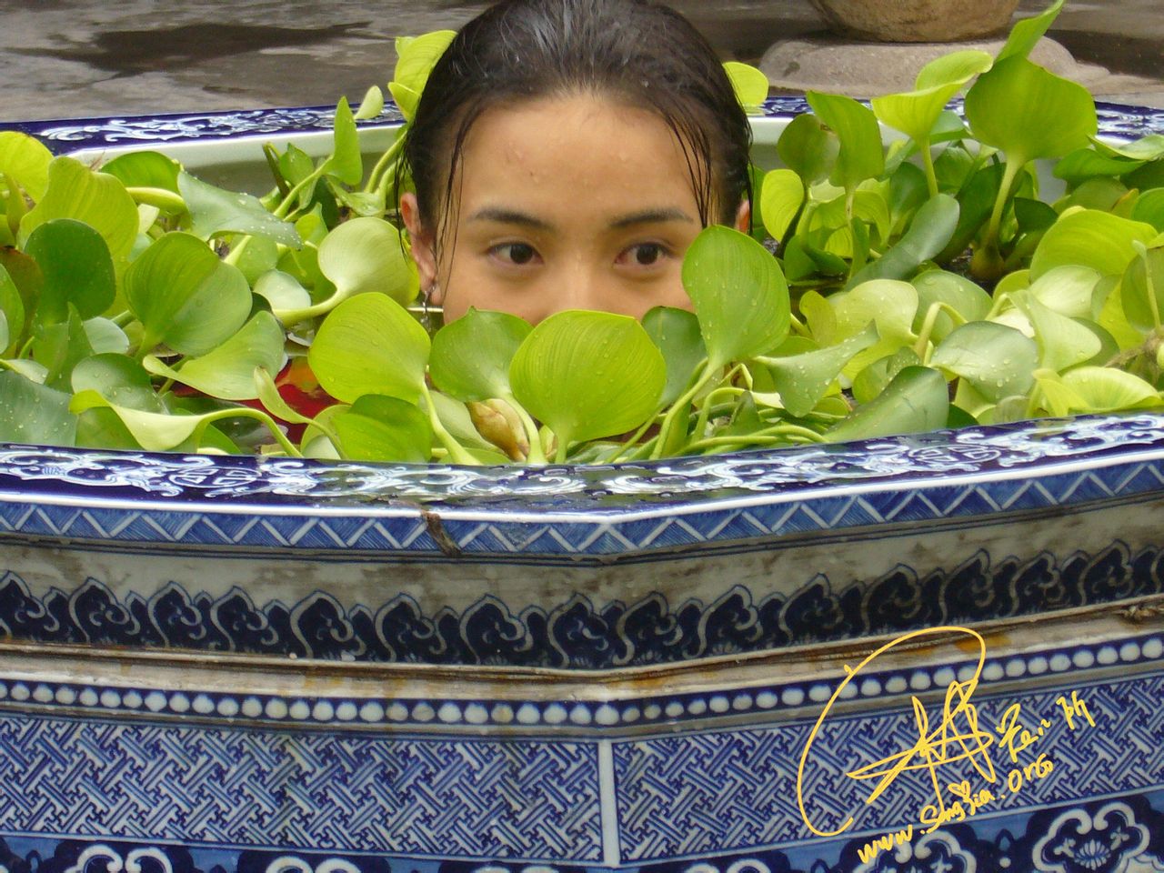 http://www.119127.cn/pics/default/download/1db5d5a03bef64242fde1e014284f8c2.jpg