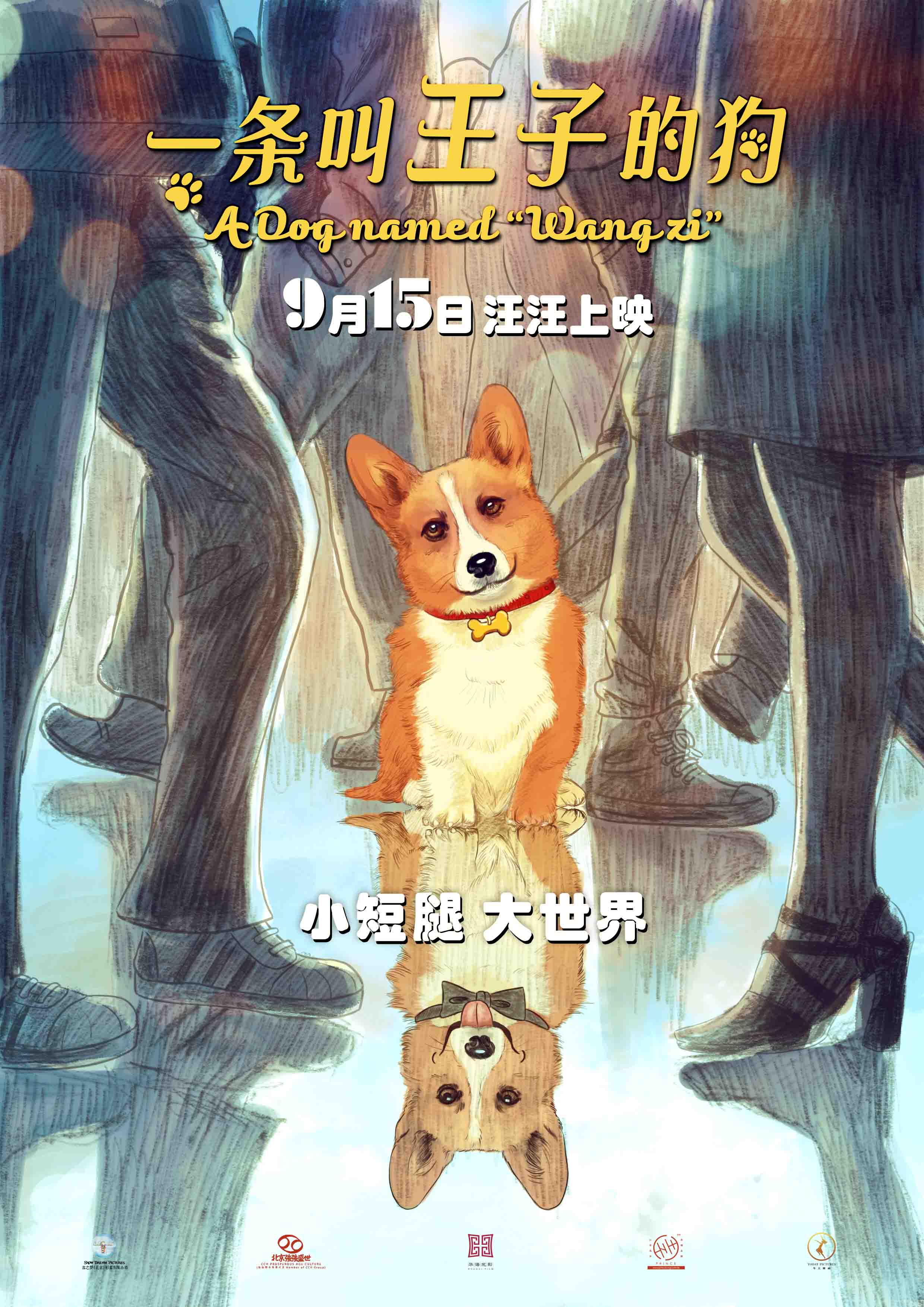 http://www.119127.cn/pics/default/download/1dd2d1642699a5f25e43d7db80d0a073.jpg