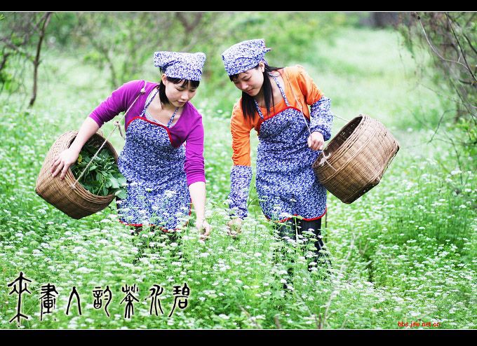 http://www.119127.cn/pics/default/download/1ef417072f0ce87dafb7c568517cdbe5.jpg