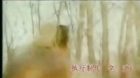難以抗拒(新龍門(mén)客棧片頭主題曲)