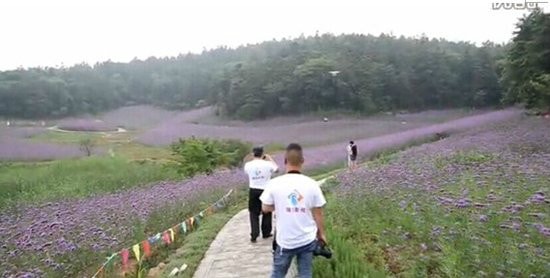 http://www.119127.cn/pics/default/download/1f4c0cc30bb70722005bec9d046356f2.jpg
