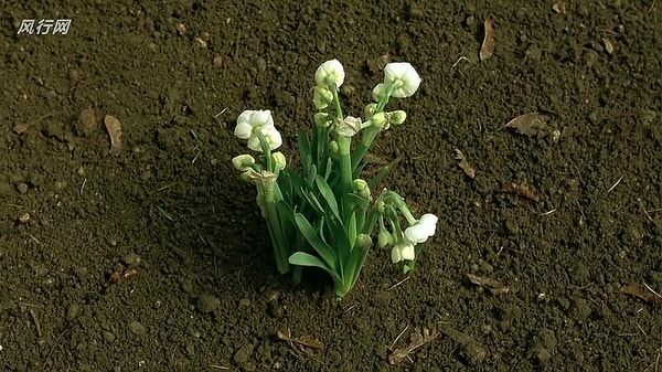 http://www.119127.cn/pics/default/download/20ceca160009dc71073acba587c37598.jpg