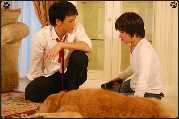 http://www.119127.cn/pics/default/download/22bb919a7ddde5d3b35794d283c9a15f.jpg